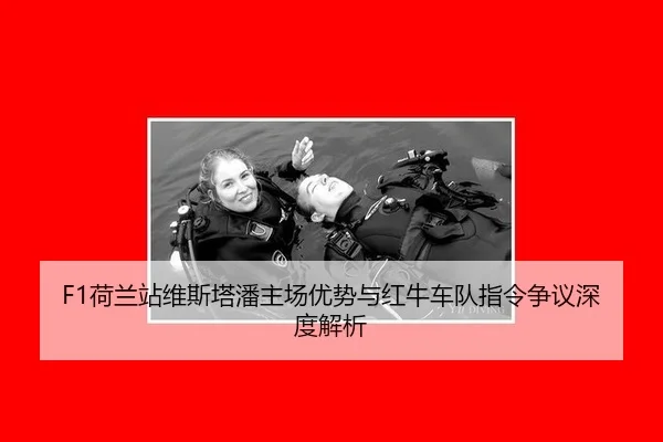 he-lan-zhan-wei-si-ta-pan-zhu-chang-you-shi-yu-hong-niu-che-dui-zhi-ling-zheng-yi-shen-du-jie-xi-2-572.jpg