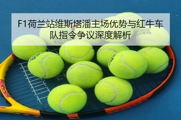 he-lan-zhan-wei-si-ta-pan-zhu-chang-you-shi-yu-hong-niu-che-dui-zhi-ling-zheng-yi-shen-du-jie-xi-3-453.jpg